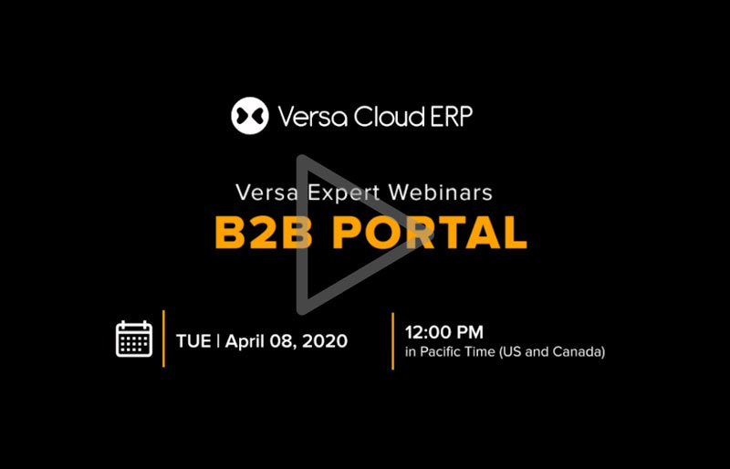 Versa Cloud ERP Expert: B2B Portal